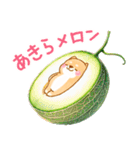 野菜でダジャレ❤️いやしばいぬ❤️（個別スタンプ：37）