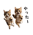 猫がいっぱいシンプルスタンプ（個別スタンプ：29）