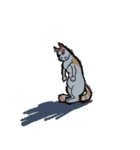 ブサかわメインクーンのトム（個別スタンプ：5）