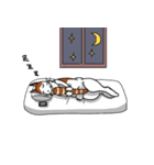 ブサかわメインクーンのトム（個別スタンプ：15）