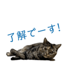シジミ坊っちゃん＆アサリ嬢（個別スタンプ：4）