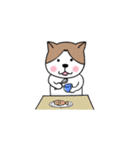 ハチワレねこさんズ（個別スタンプ：10）