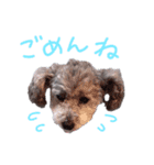 アネラだよ（個別スタンプ：4）