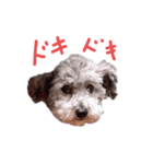 アネラだよ（個別スタンプ：7）