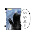 猫さんのお返事スタンプ（個別スタンプ：5）