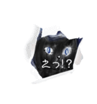 猫さんのお返事スタンプ（個別スタンプ：7）