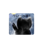 猫さんのお返事スタンプ（個別スタンプ：8）