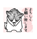 黒白いぬとねこ（個別スタンプ：10）