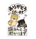 【Big】柴犬『いつもの言葉』時々天使（個別スタンプ：8）