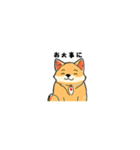 可愛い柴犬225（個別スタンプ：13）