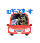 うるまろのスタンプだよ（個別スタンプ：4）
