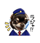 うるまろのスタンプだよ（個別スタンプ：13）