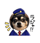 うるまろのスタンプだよ（個別スタンプ：14）