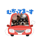 うるまろのスタンプだよ（個別スタンプ：21）