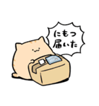 にわねこ19（個別スタンプ：24）