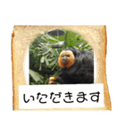 お食事おさるスタンプ（個別スタンプ：1）