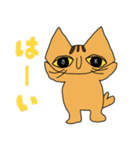 トラ ＆ ギン（個別スタンプ：25）