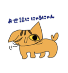 トラ ＆ ギン（個別スタンプ：37）