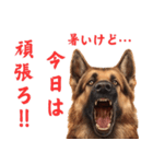 夏の暑苦しい犬たち 酷暑・熱中症注意（個別スタンプ：21）