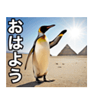 夏に毎日使える♪シュールな砂漠のペンギン（個別スタンプ：1）