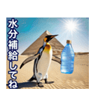 夏に毎日使える♪シュールな砂漠のペンギン（個別スタンプ：10）