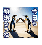 夏に毎日使える♪シュールな砂漠のペンギン（個別スタンプ：14）