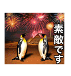 夏に毎日使える♪シュールな砂漠のペンギン（個別スタンプ：23）