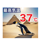 夏に毎日使える♪シュールな砂漠のペンギン（個別スタンプ：37）