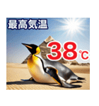 夏に毎日使える♪シュールな砂漠のペンギン（個別スタンプ：38）