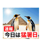 夏に毎日使える♪シュールな砂漠のペンギン（個別スタンプ：39）