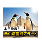 夏に毎日使える♪シュールな砂漠のペンギン（個別スタンプ：40）