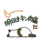 和風猫＜おいしい毎日＞（個別スタンプ：36）