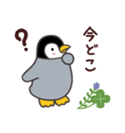 ペンギン ペンすけ（個別スタンプ：7）