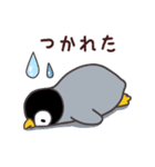 ペンギン ペンすけ（個別スタンプ：29）