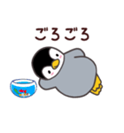 ペンギン ペンすけ（個別スタンプ：30）