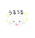 使える！ねこのスタンプ（個別スタンプ：24）