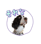 Funny Doggie ②（個別スタンプ：5）