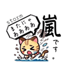 AIねこロボ⁉︎スタンプ 11    天気予報編（個別スタンプ：12）