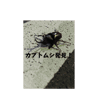 こふなばスタンプ 2（個別スタンプ：15）