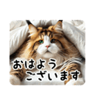 日常で毎日使える猫のメインクーンです。（個別スタンプ：5）