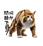 日常で毎日使える猫のメインクーンです。（個別スタンプ：35）