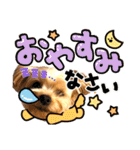 ヨーキーひめちゃん（個別スタンプ：4）