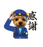 ヨーキーひめちゃん（個別スタンプ：8）