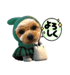 ヨーキーひめちゃん（個別スタンプ：17）