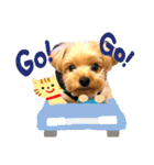 ヨーキーひめちゃん（個別スタンプ：19）