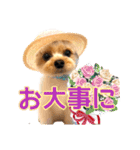 ヨーキーひめちゃん（個別スタンプ：32）