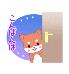 ちびしばいぬ9（個別スタンプ：24）