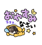 家のくーちゃん（個別スタンプ：1）