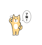 柴犬の柴太郎（個別スタンプ：4）