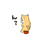 柴犬の柴太郎（個別スタンプ：5）